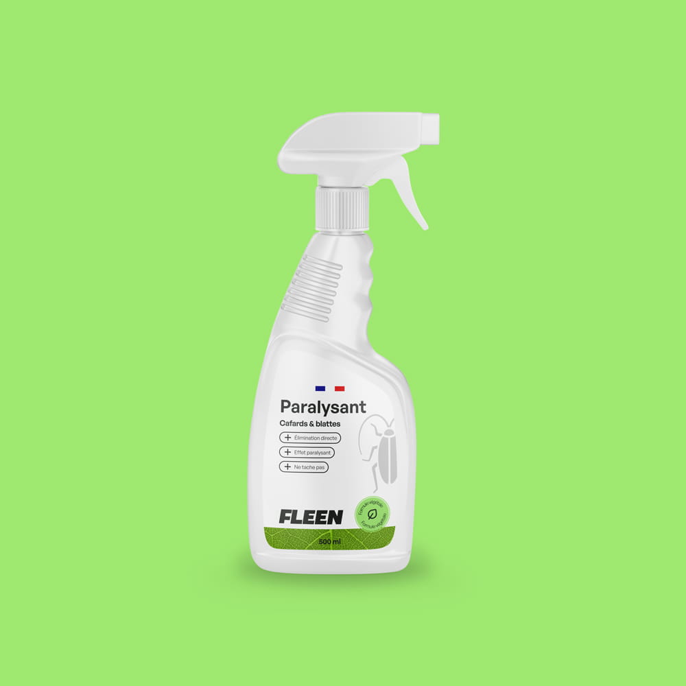 meilleur insecticide punaises de lit