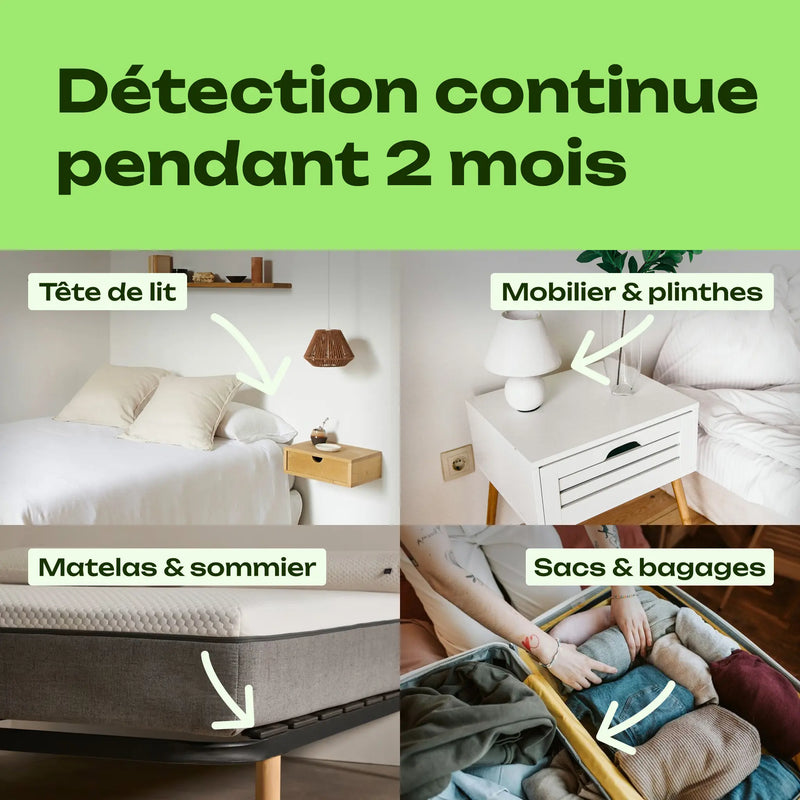 piège détection punaise de lit périmètre