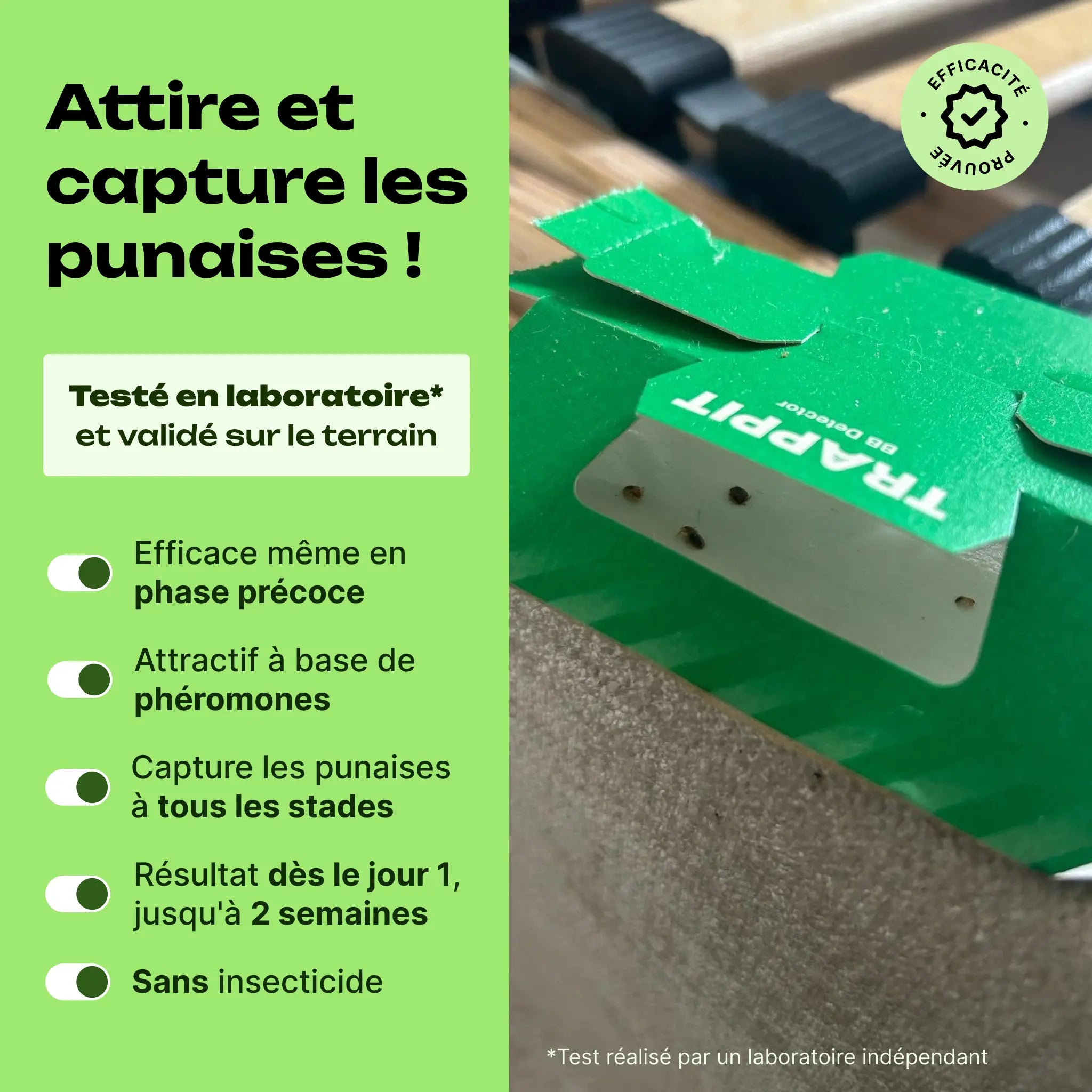 piège phéromone punaise de lit avantages