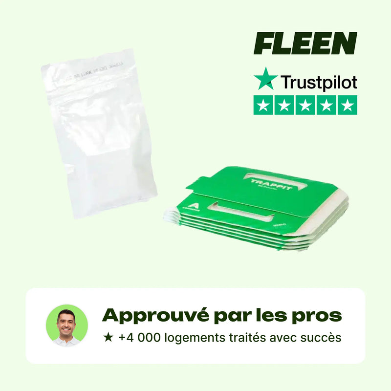 piège phéromone punaise de lit pack