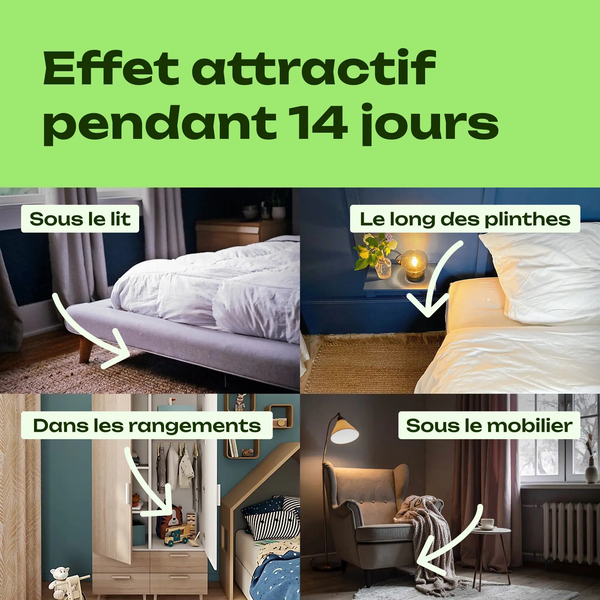 piègé phéromone punaise de lit périmètre