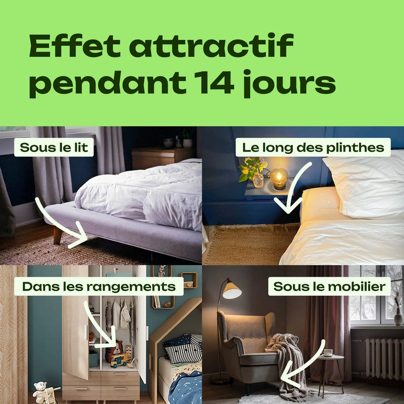 piège phéromone punaise de lit périmètre