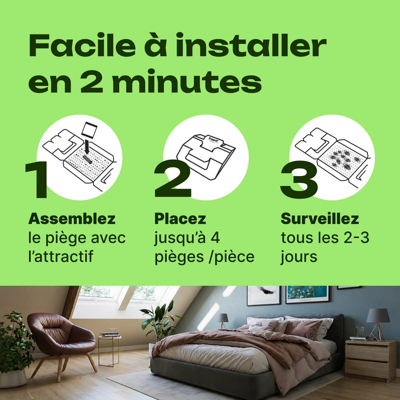piège phéromone punaise de lit utilisation