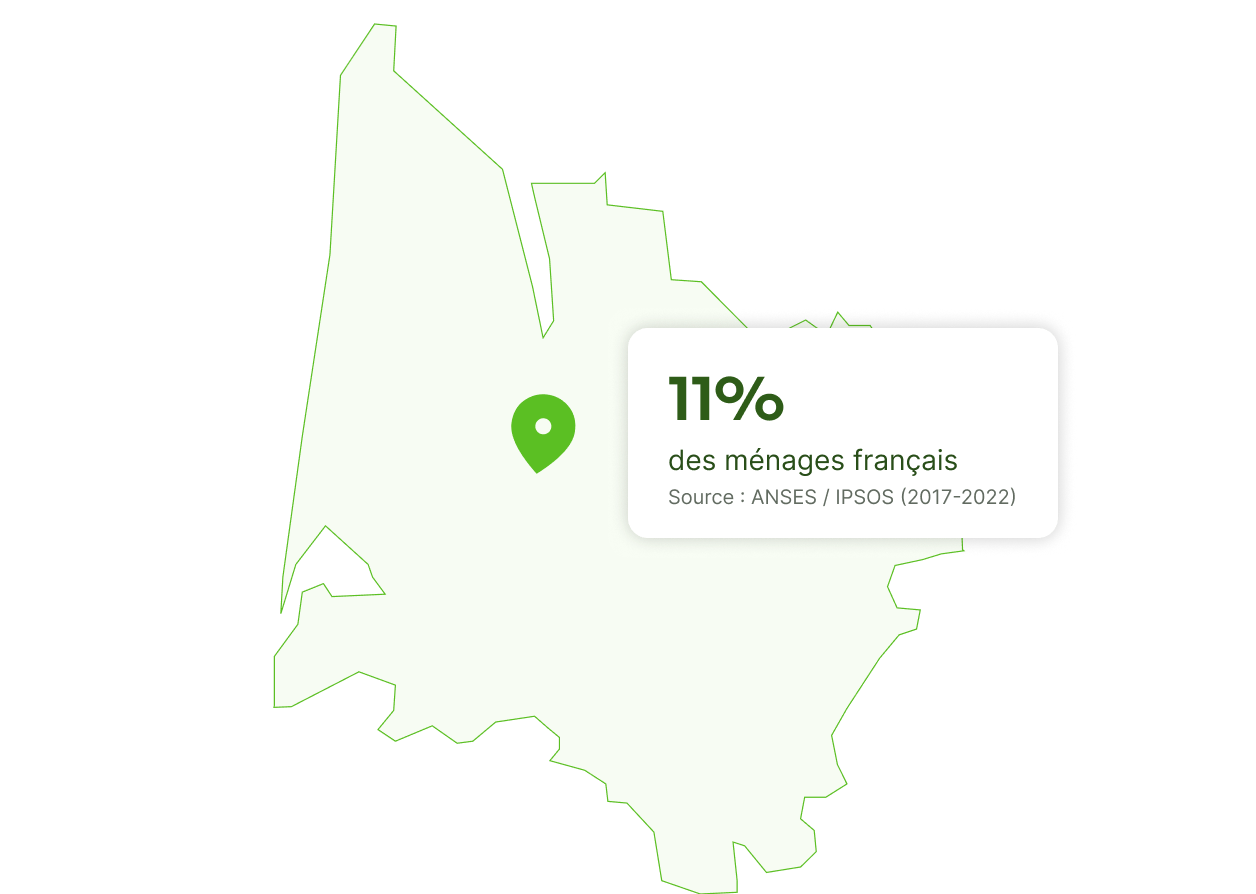 punaise de lit à bordeaux
