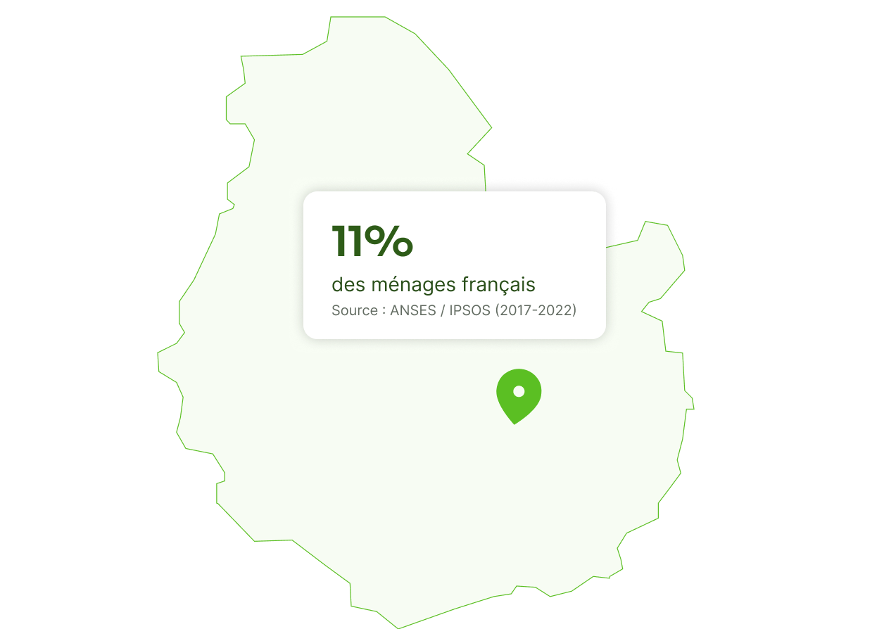 punaise de lit à dijon
