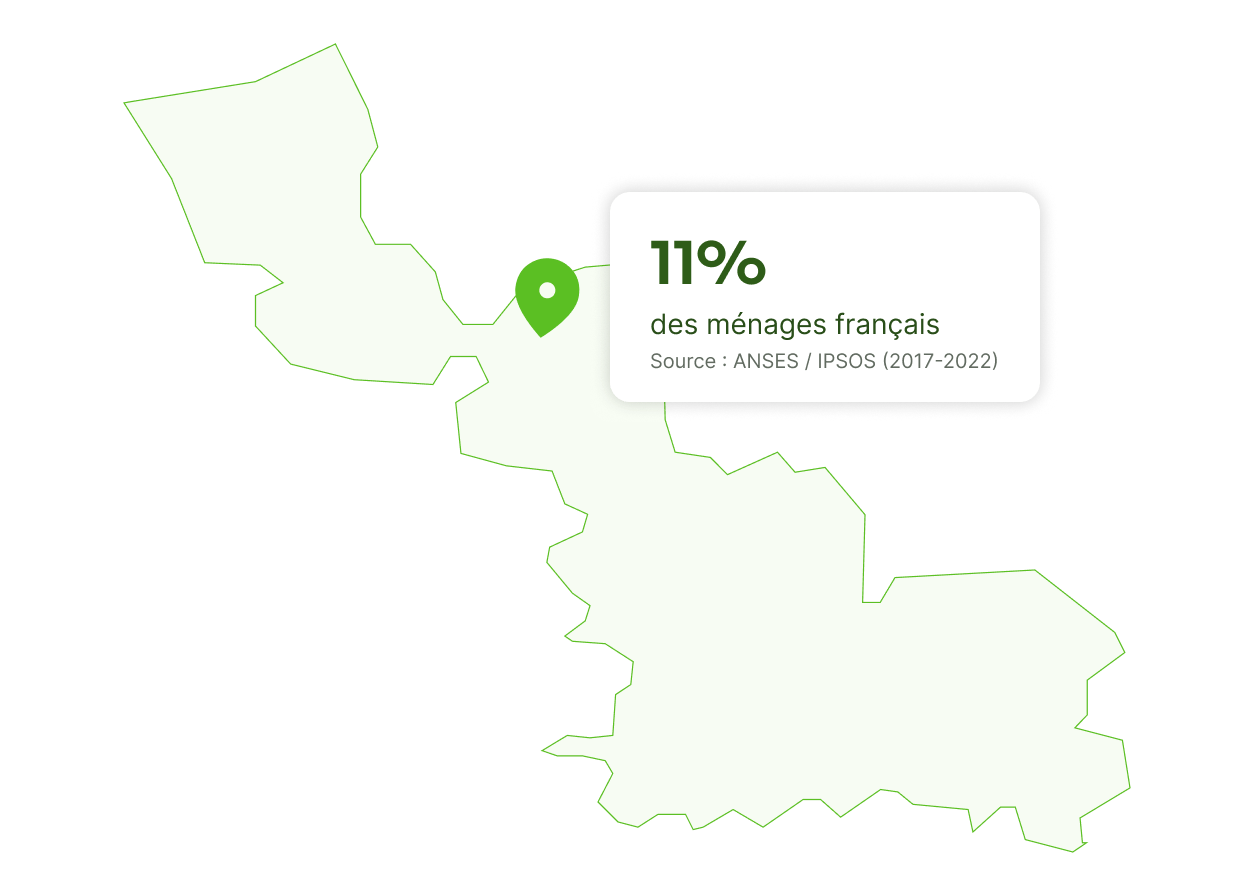 punaise de lit à lille