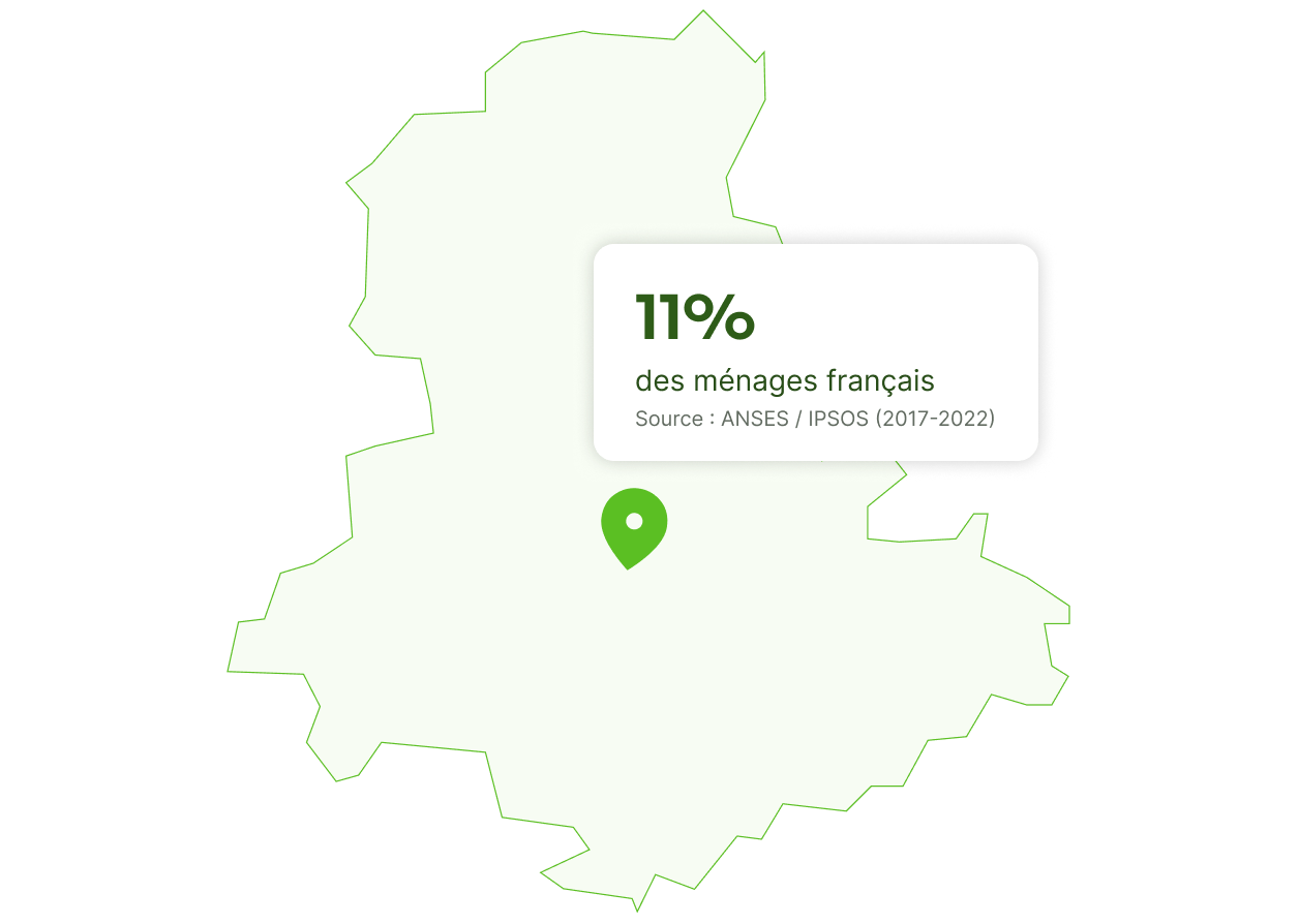 punaise de lit à limoges 