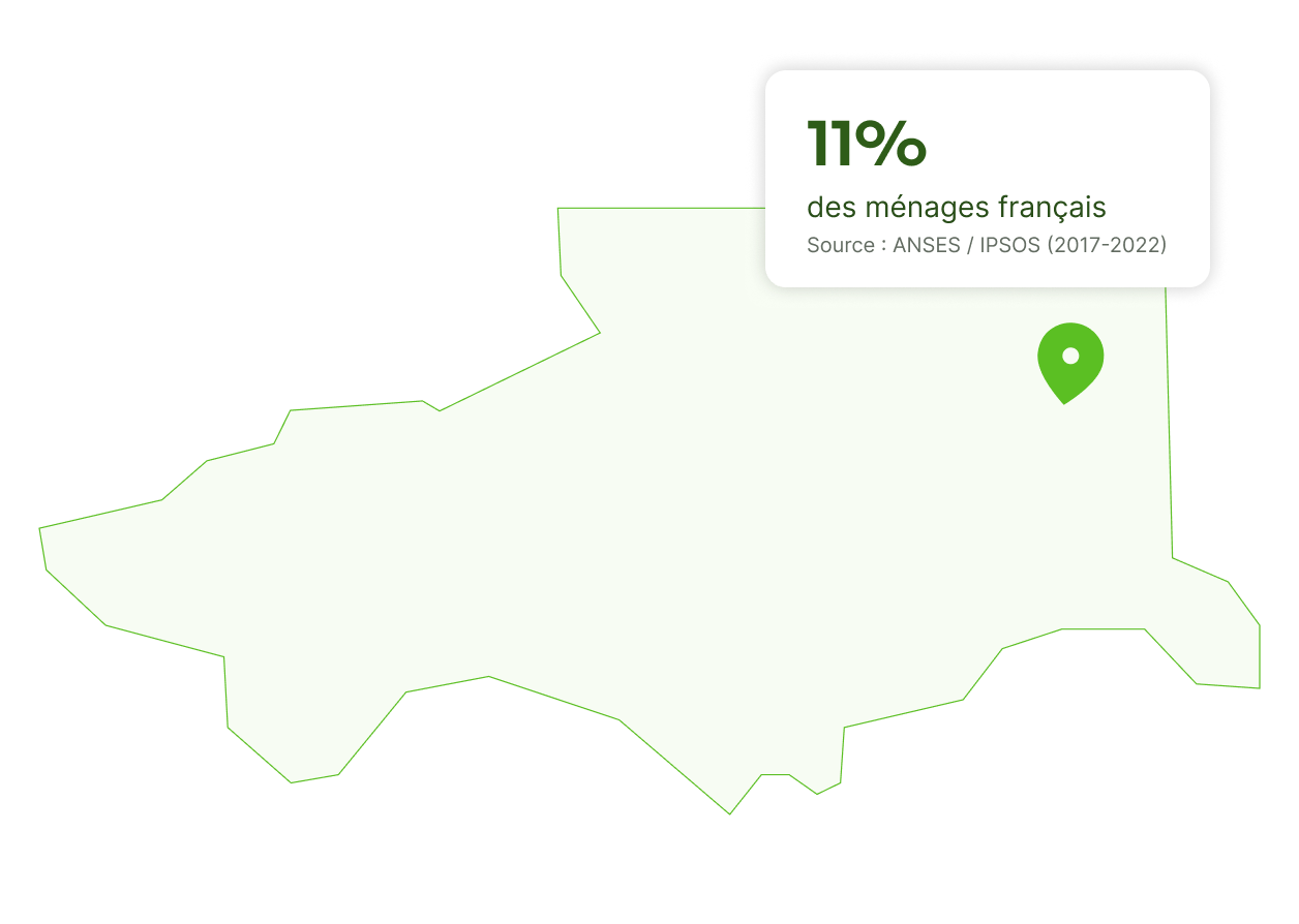 punaise de lit à perpignan
