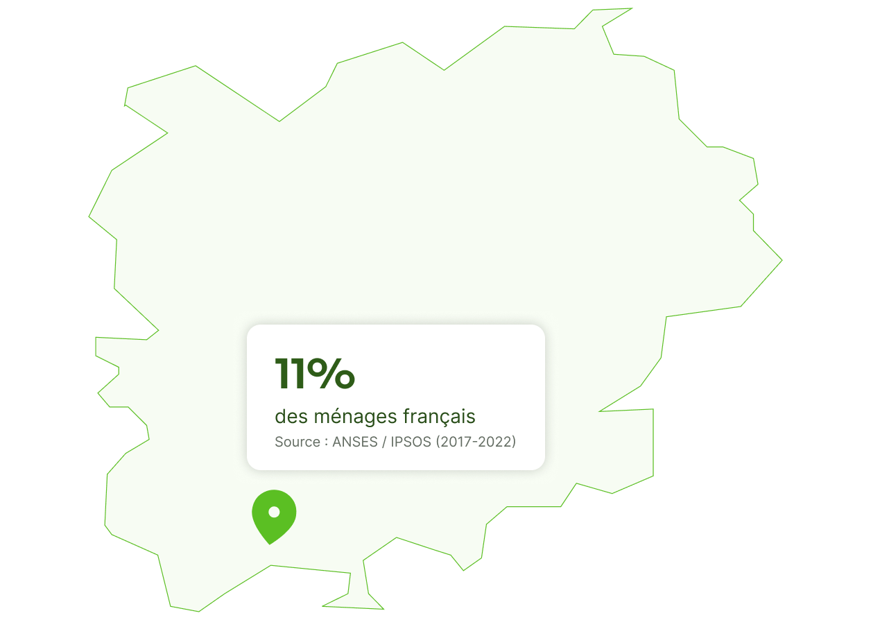 punaise de lit à toulon