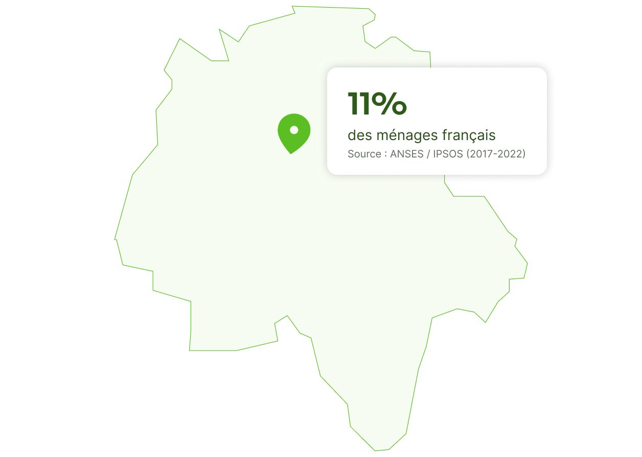 punaise de lit à tours