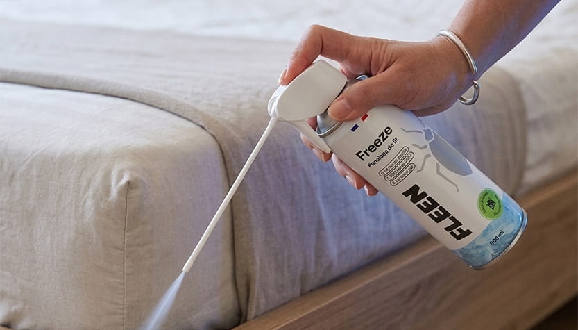 punaise de lit insecticide