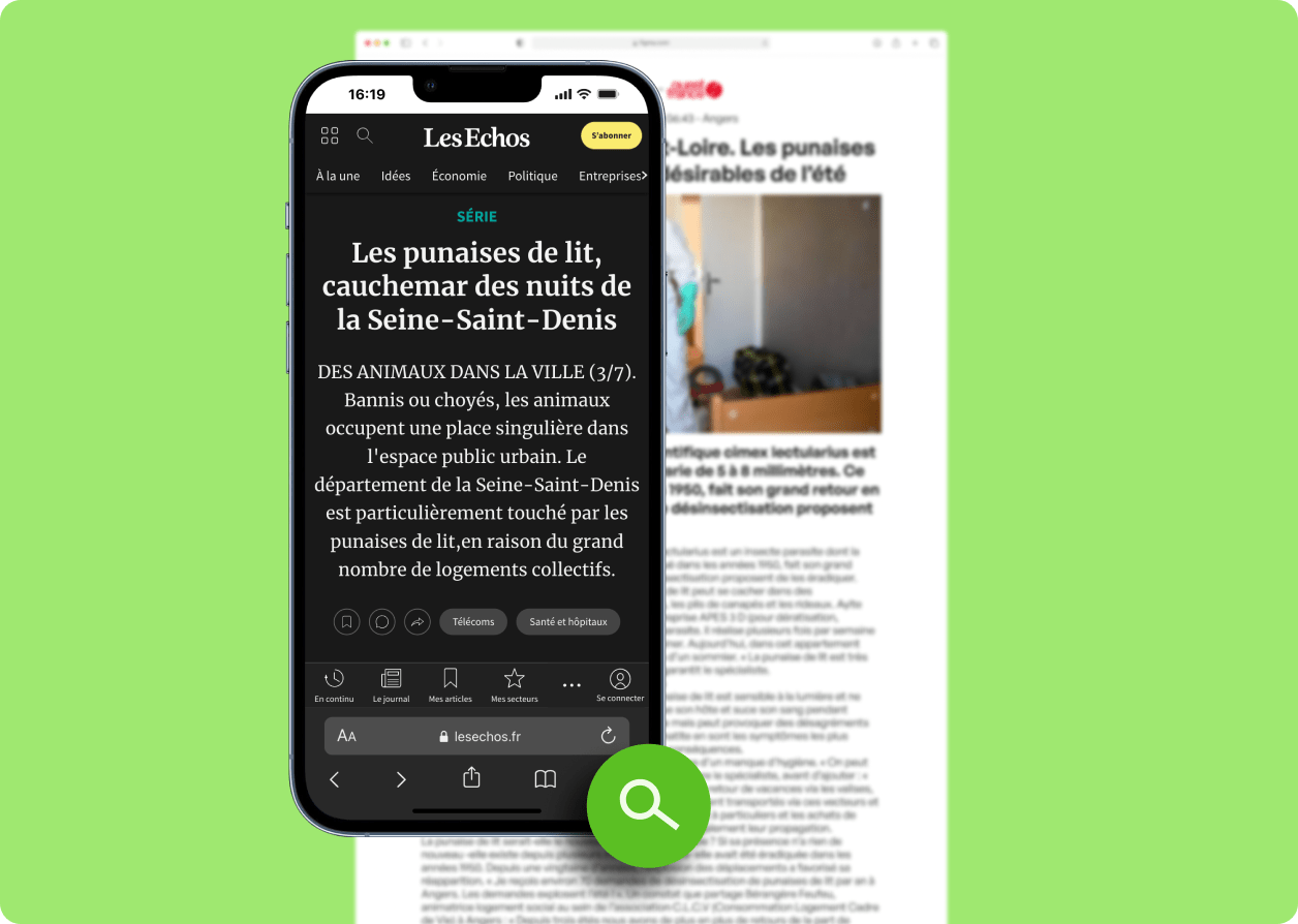 punaise de lit saint-denis