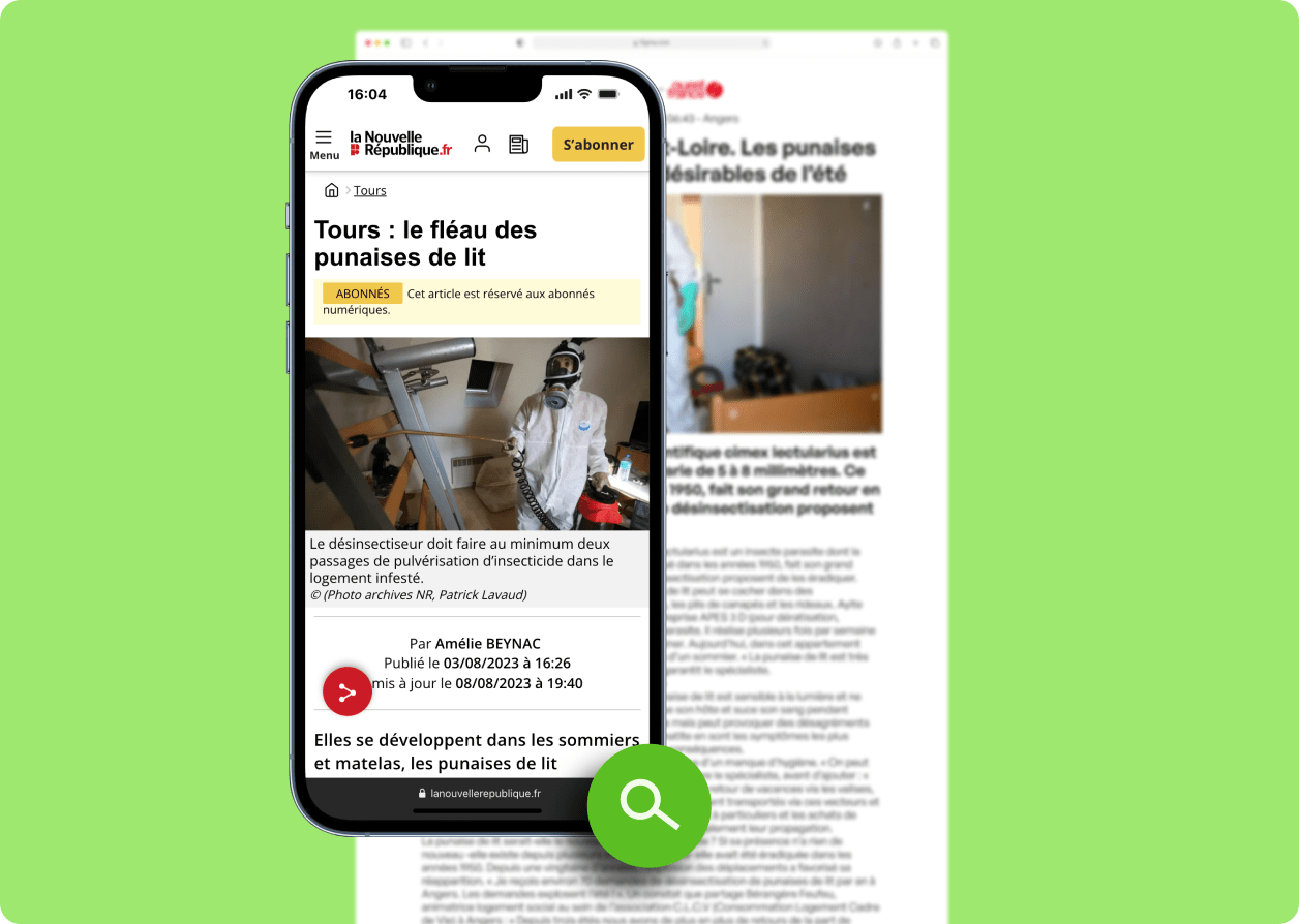 punaise de lit tours