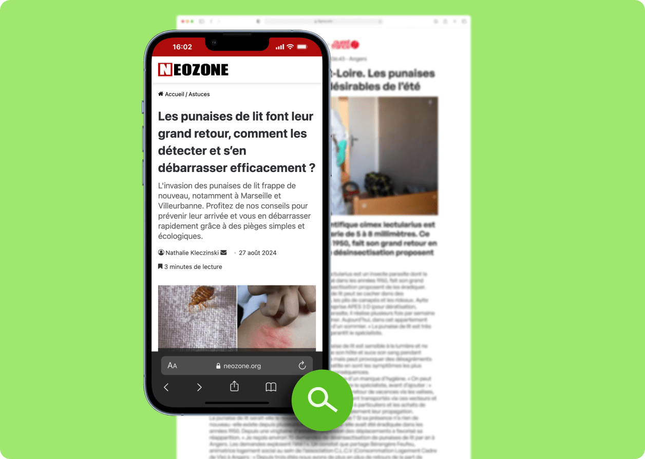 punaise de lit villeurbanne