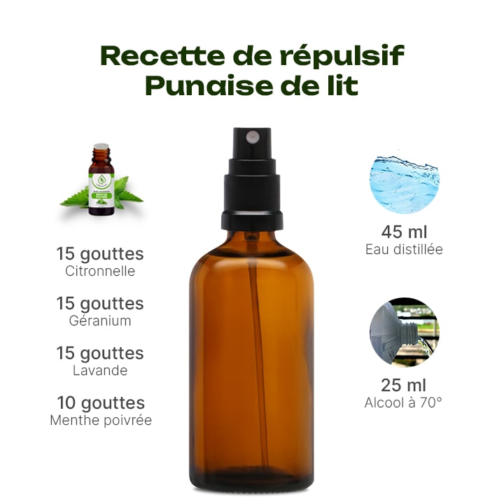 répulsif punaise de lit huile essentielle