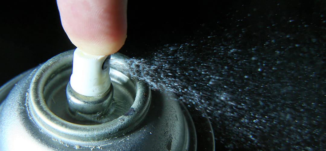 spray punaise de lit