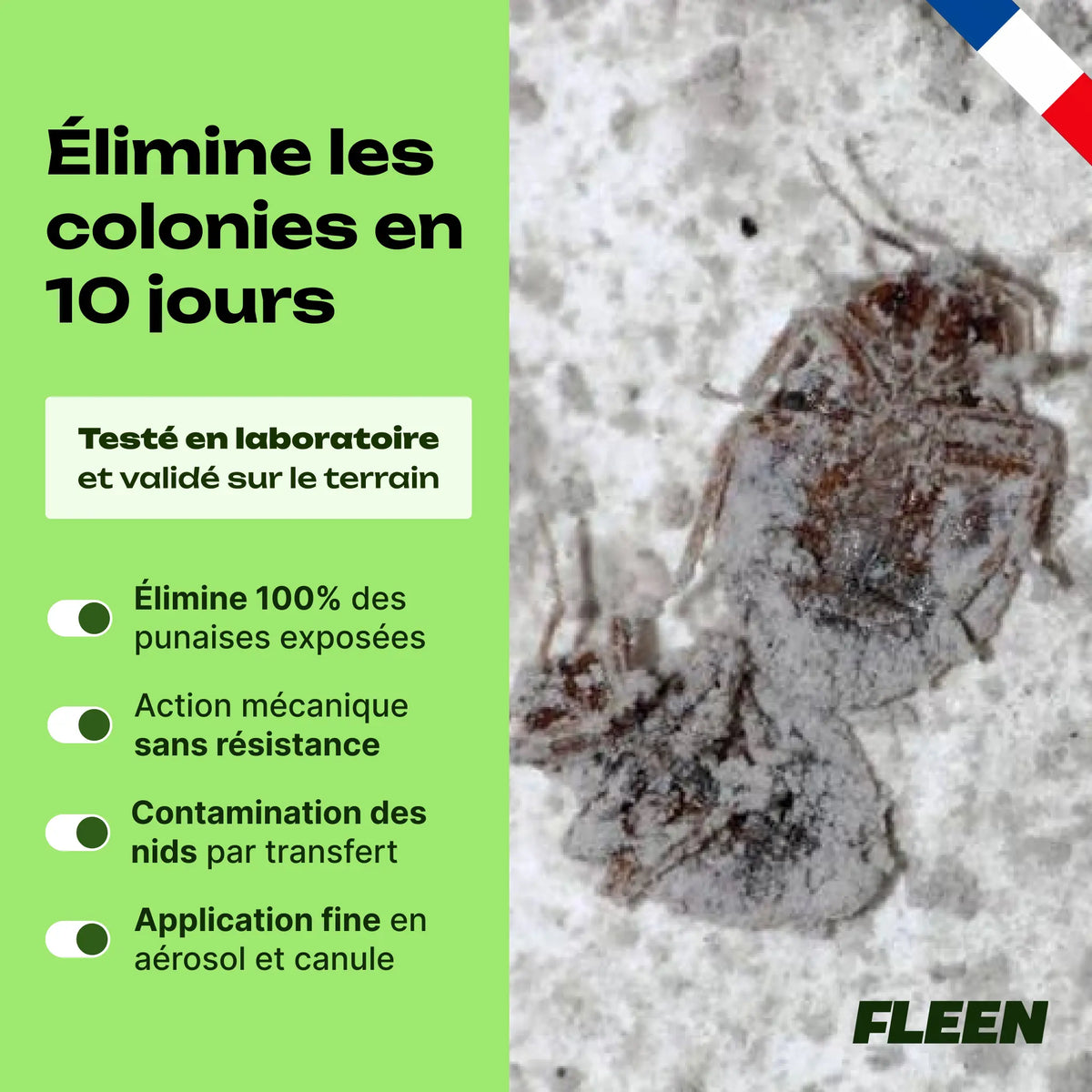 spray terre de diatomée punaise de lit avantages