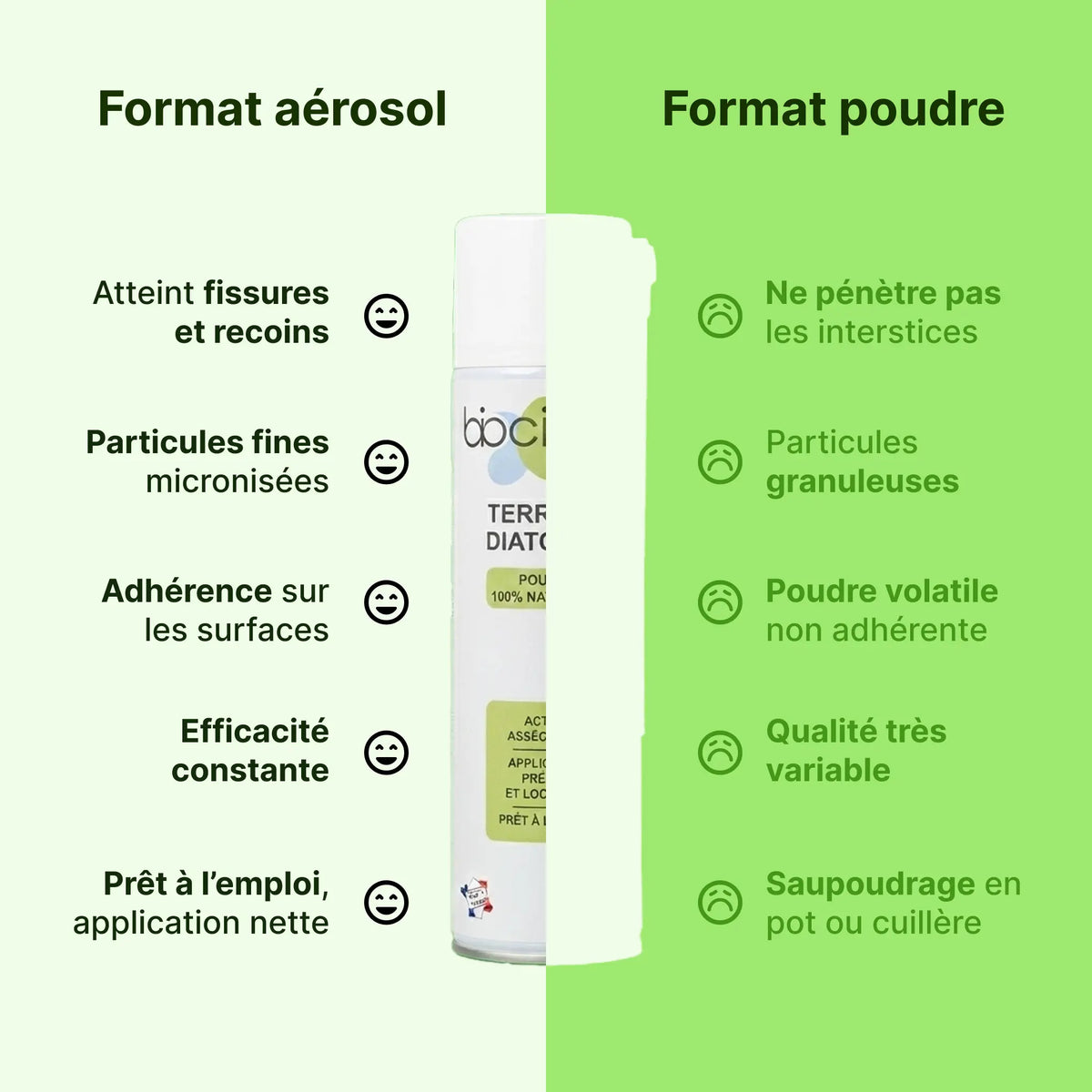 spray terre de diatomée punaise de lit comparatif