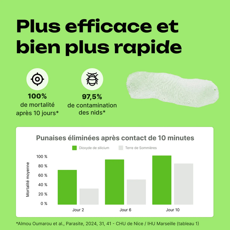 spray terre de diatomée punaise de lit efficace