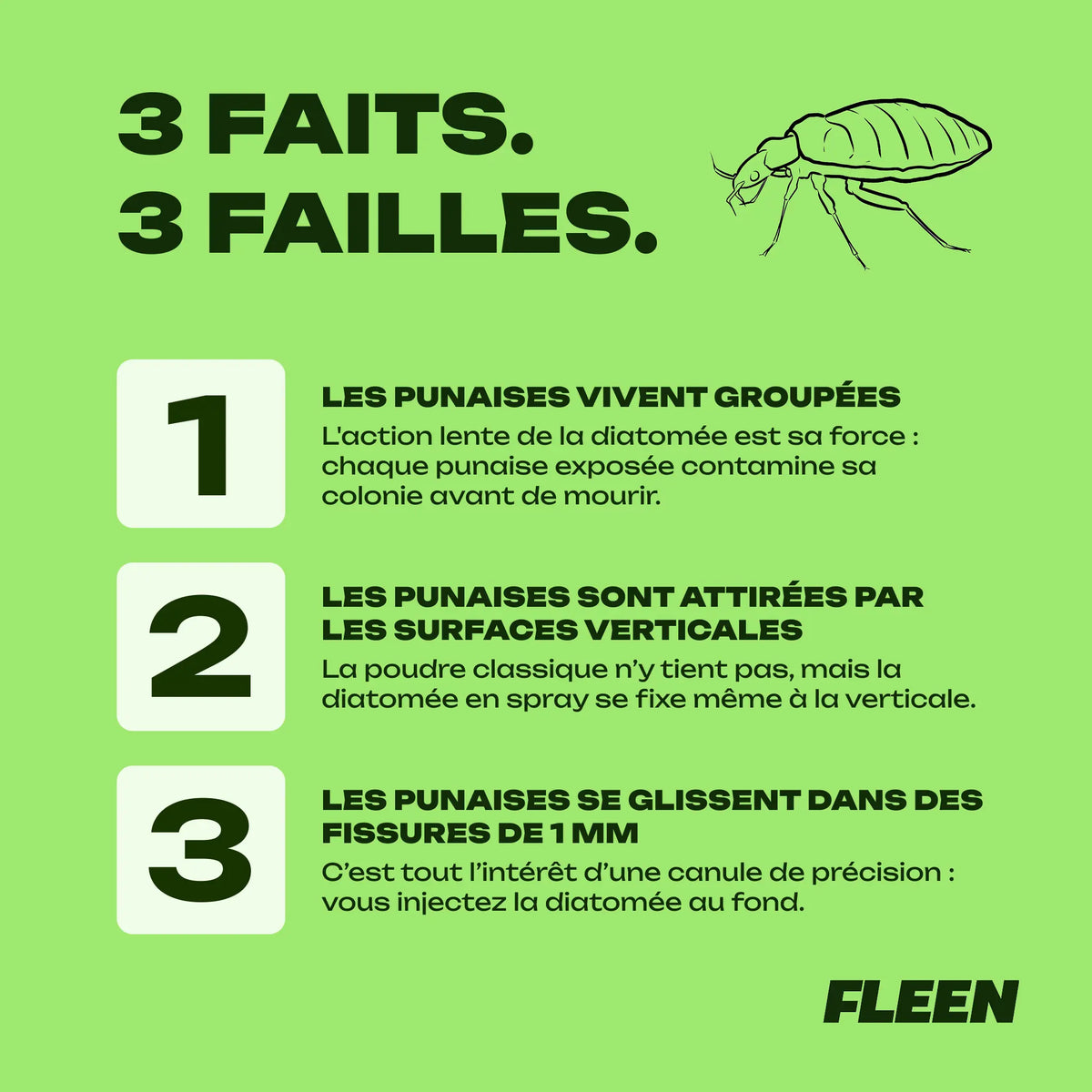 spray terre de diatomée punaise de lit guide