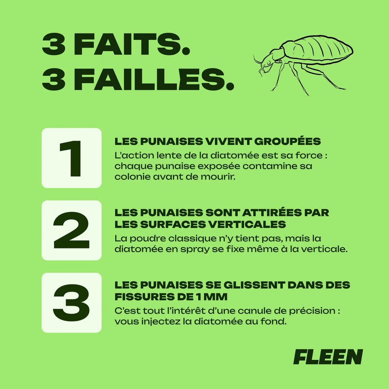 spray terre de diatomée punaise de lit guide