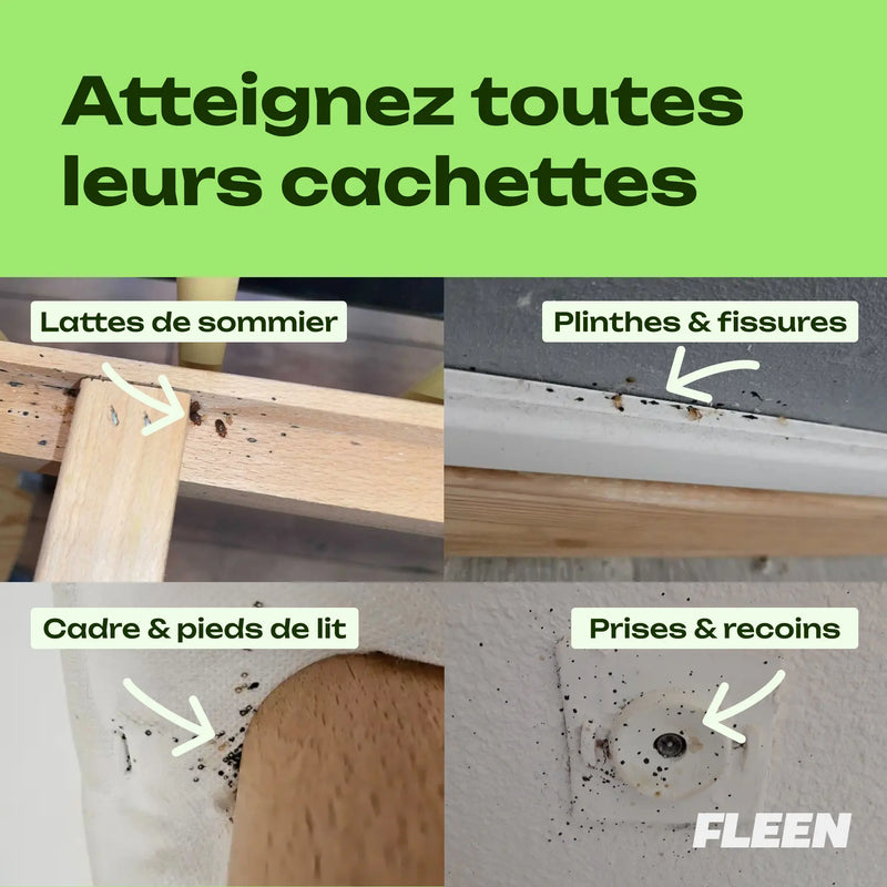 spray terre de diatomée punaise de lit périmètre