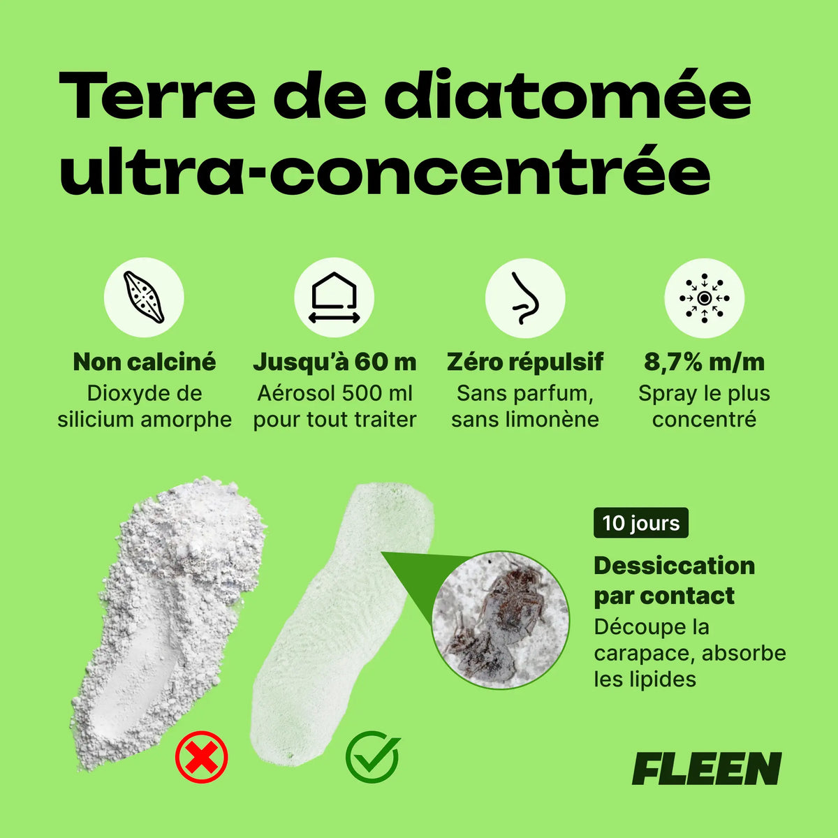 spray terre de diatomée punaise de lit technologie
