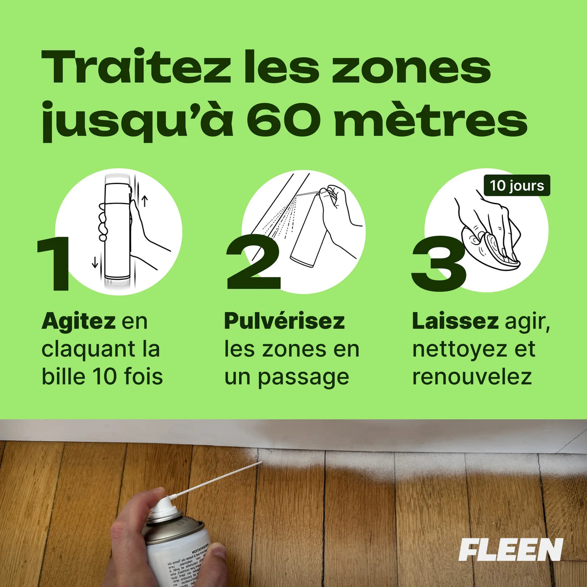 spray terre de diatomée punaise de lit utilisation