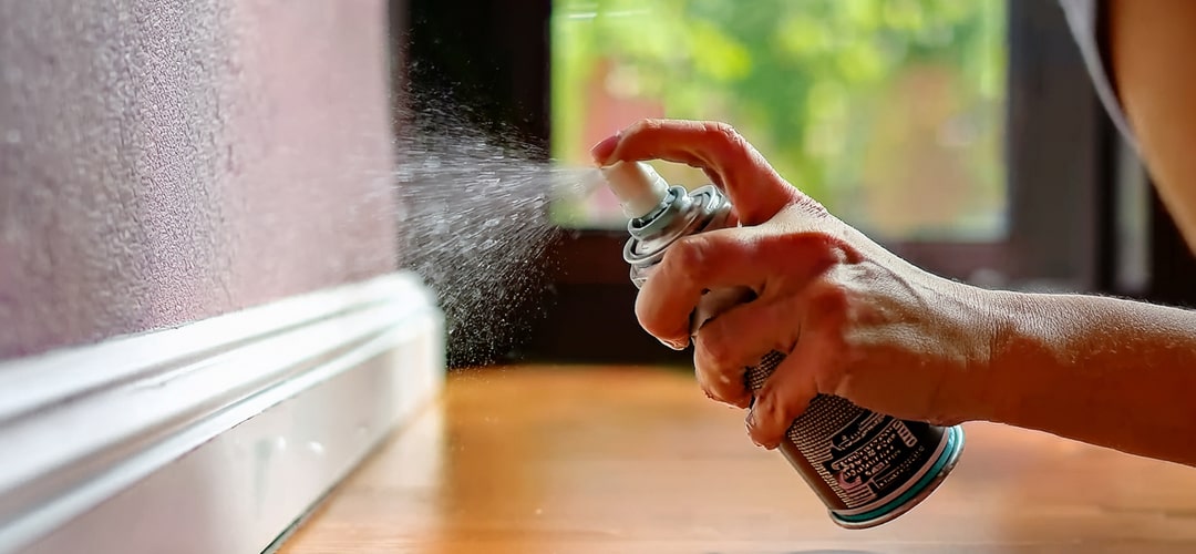 terre de diatomée spray punaise de lit