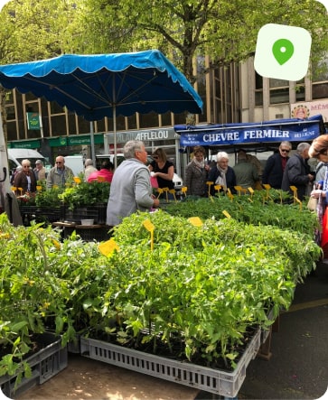 traitement punaise de lit angers la fayette