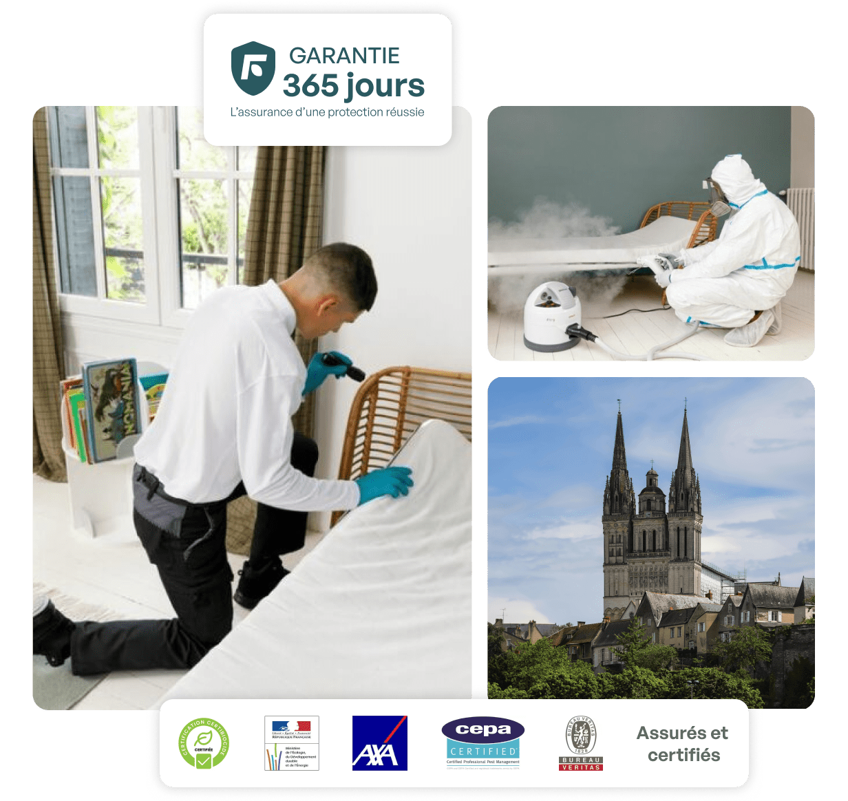 traitement punaise de lit angers