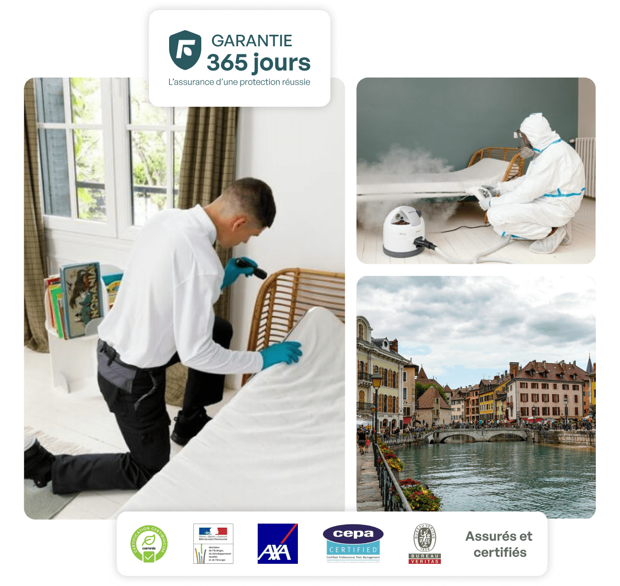 traitement punaise de lit annecy