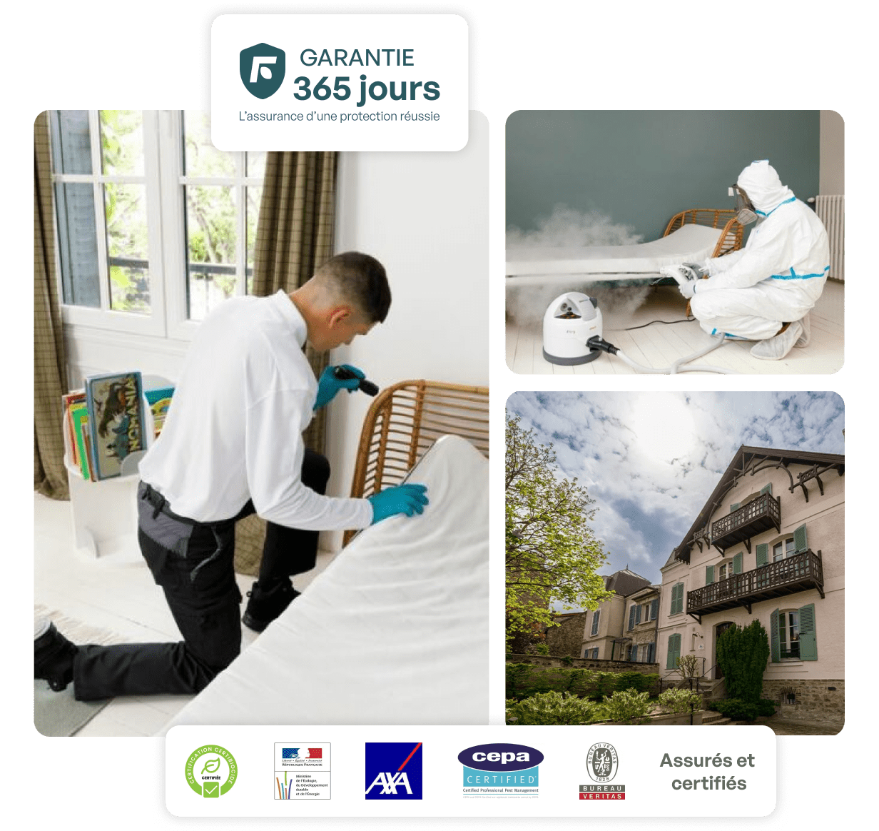 traitement punaise de lit argenteuil
