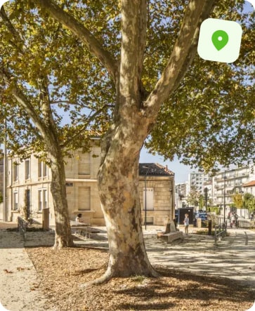 traitement punaise de lit bordeaux cauderan