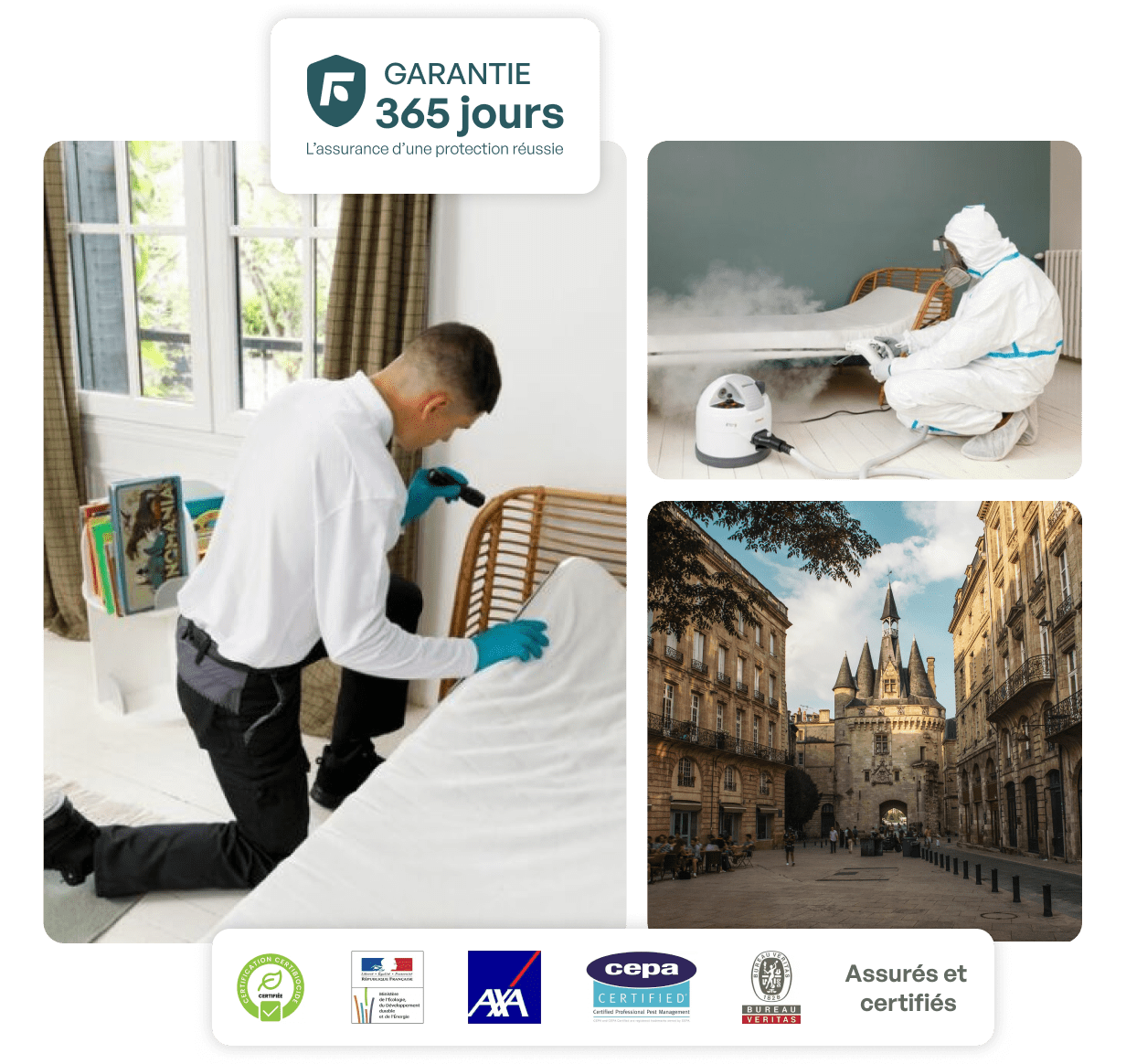 traitement punaise de lit bordeaux