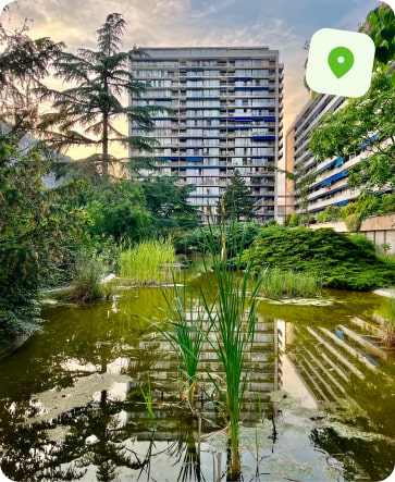 traitement punaise de lit boulogne-billancourt point du jour