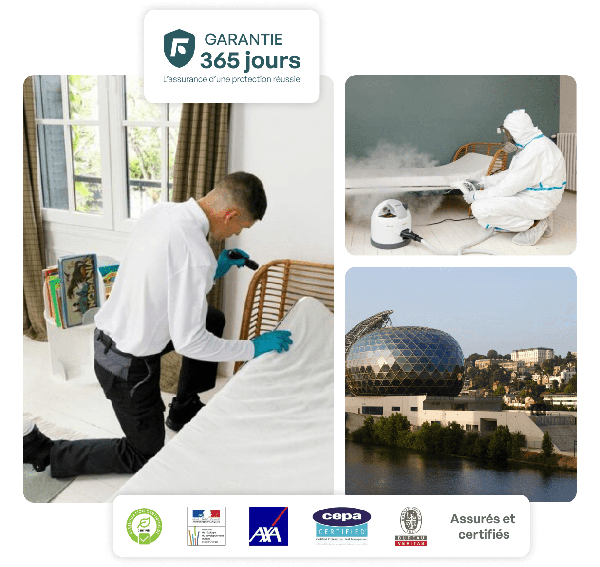 traitement punaise de lit boulogne-billancourt