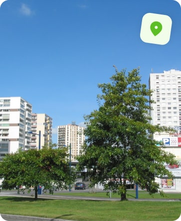 traitement punaise de lit brest bellevue