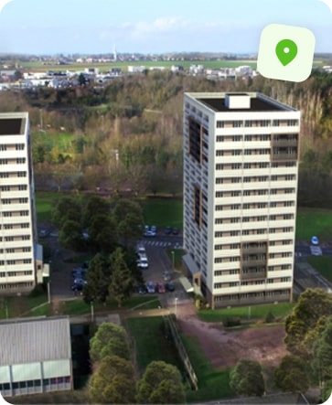 traitement punaise de lit caen chemin vert