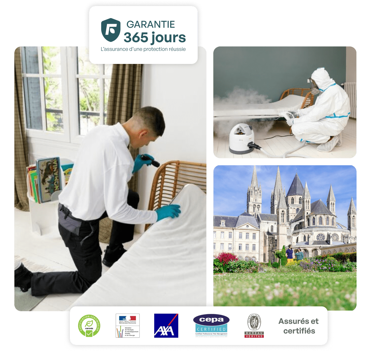 traitement punaise de lit caen