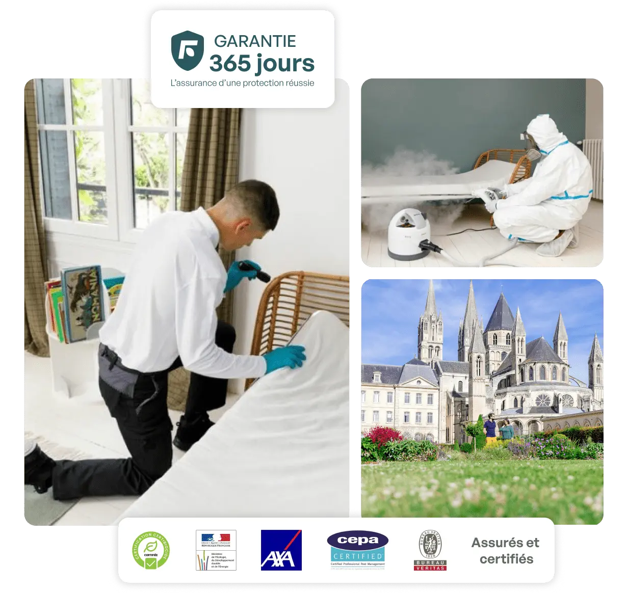 Traitement punaise de lit Caen