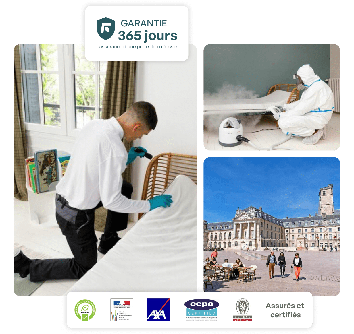 traitement punaise de lit dijon