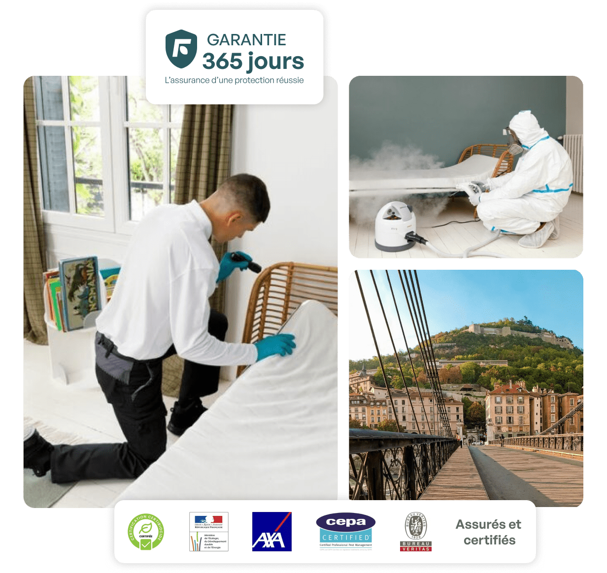 traitement punaise de lit grenoble