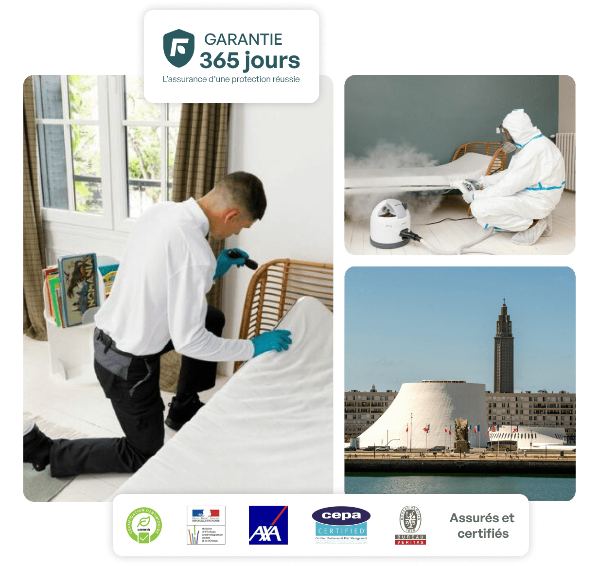 traitement punaise de lit le havre