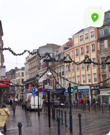 traitement punaise de lit vieux lille
