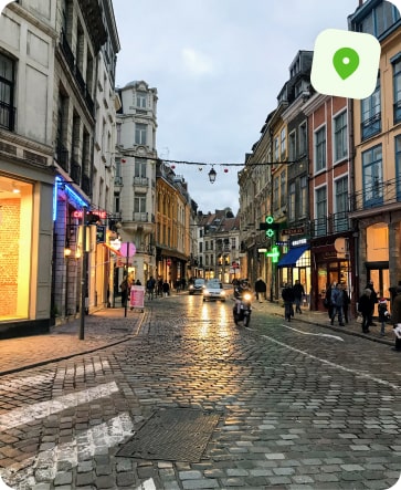 traitement punaise de lit lille wazemmes