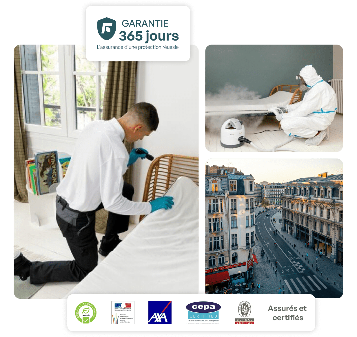 traitement punaise de lit lille