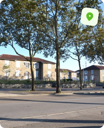 traitement punaise de lit limoges beaublanc