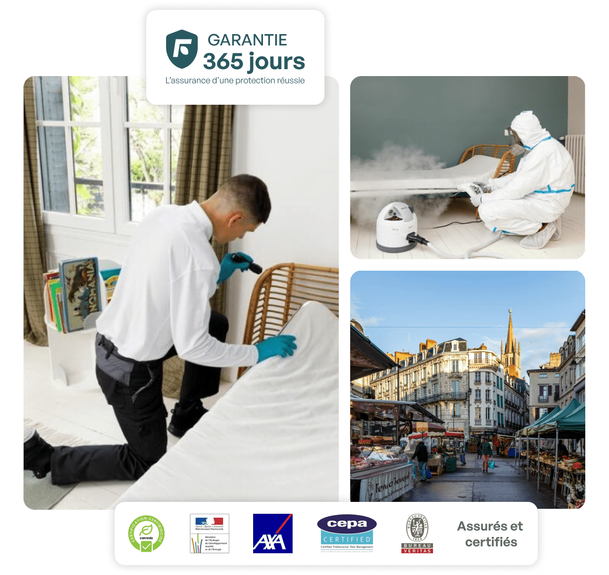 traitement punaise de lit limoges