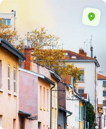 traitement punaise de lit lyon montchat